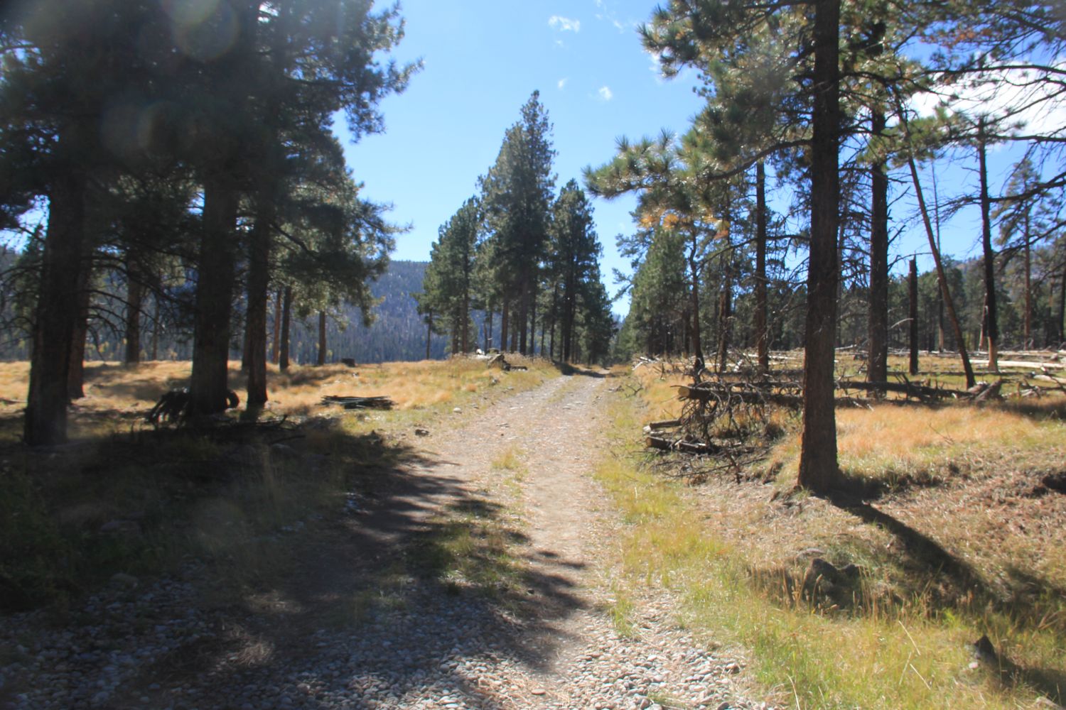 Valles Caldera National Preserve 